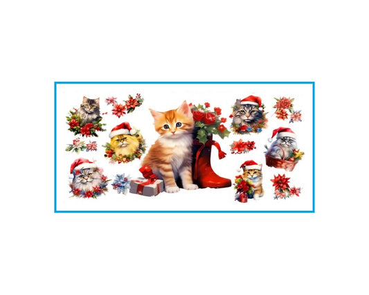 Christmas Cats